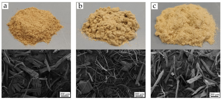 Visual appearance (upper row) and field emission scanning electron microscopy (FESEM) images at 50× (bottom row) of different natural fibers: (a) Hemp; (b) Flax; (c) Jute.