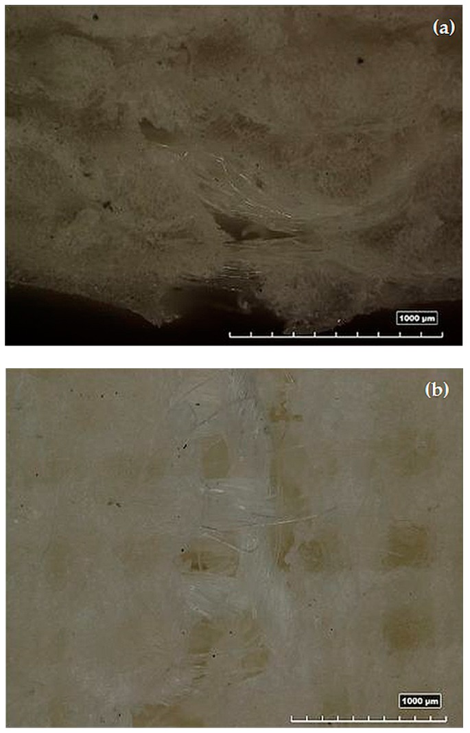 Images of the fracture for the tensile stress in the section (a) (140×) and in the plane (b) (100×) view.