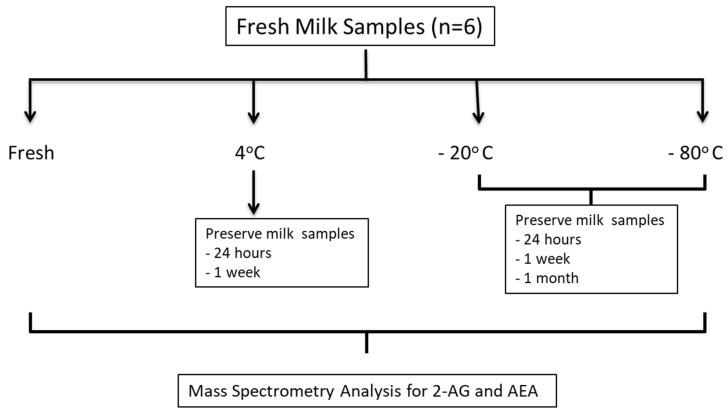 Schematic for milk sample collection, storage conditions and analysis. Fresh milk samples were collected and analyzed for 2-AG and AEA. The samples were aliquoted and stored under different conditions to determine how temperature (4 °C, −20 °C and −80 °C) and length of time (24 h, 1week and 1 month) affects endocannabinoid concentrations.