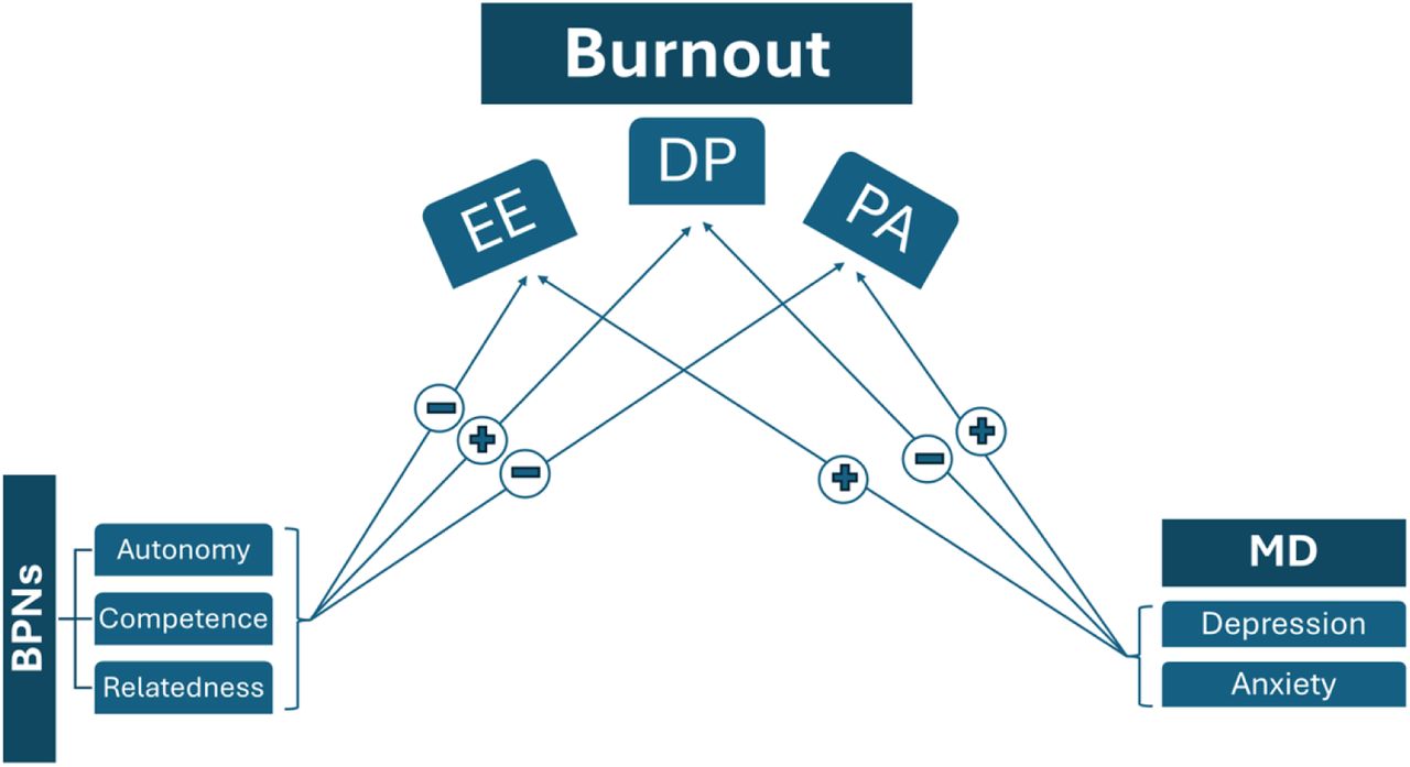 Suggested relationship between variablesBPNs: Basic Psychological Needs, EE: emotional Exhaustion, DP: depersonalization, PA: Personal achievement, MD: Mental Distress. (+): positively correlated, (-): negatively correlated.