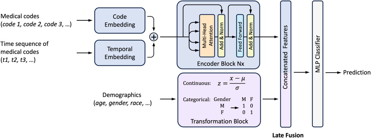 TELF architecture.A detailed diagram of the end-to-end TELF model pipeline. The sequences of medical codes (diagnosis, medication, procedure) are projected into a vector space via a code embedding layer. The corresponding chronological sequences, recorded as days prior to the index date, are passed through a separate temporal embedding layer. These sequences are subsequently processed by multi-head self-attention encoder blocks to capture complex clinical dependencies. Static baseline demographic variables are transformed and concatenated with the pooled temporal output from the last encoder block through a late fusion step for the final disease risk classification.