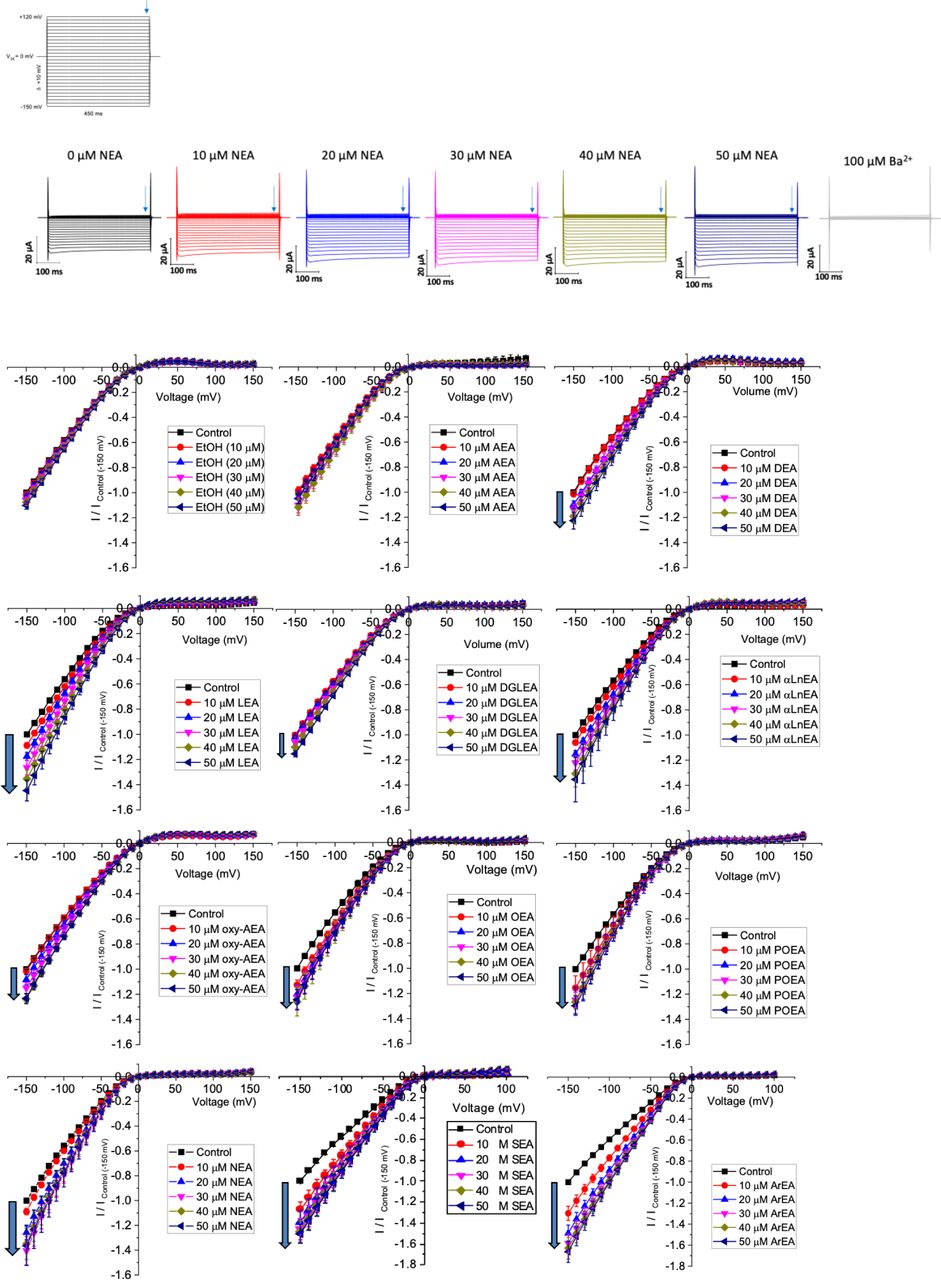 Effect of fatty acid ethanolamides (FAEs) on Kir2.1 currents.Current-voltage (I-V) relationship of Kir2.1 channels expressed in Xenopus laevis oocytes following the incremental addition of the listed endocannabinoids. For each cell, currents were normalized to the current elicited at -150 mV for control conditions (0 µM endocannabinoid). This enabled the averaging of pair-wise data from different cells.