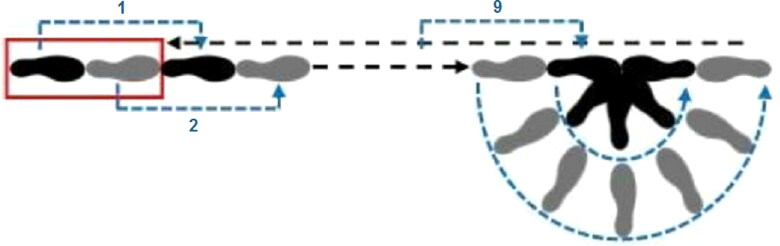 Execution of the Walk-and-Turn test (red rectangle: starting position; black: left foot; grey: right foot). 1: the first step; 2: the second step; 9: the ninth step.