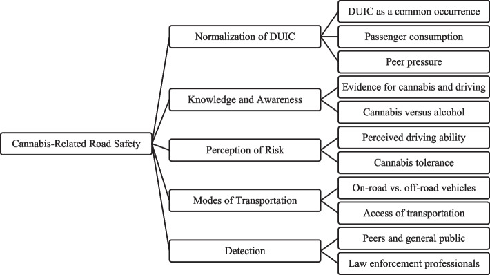 Emerging road safety themes and sub-themes