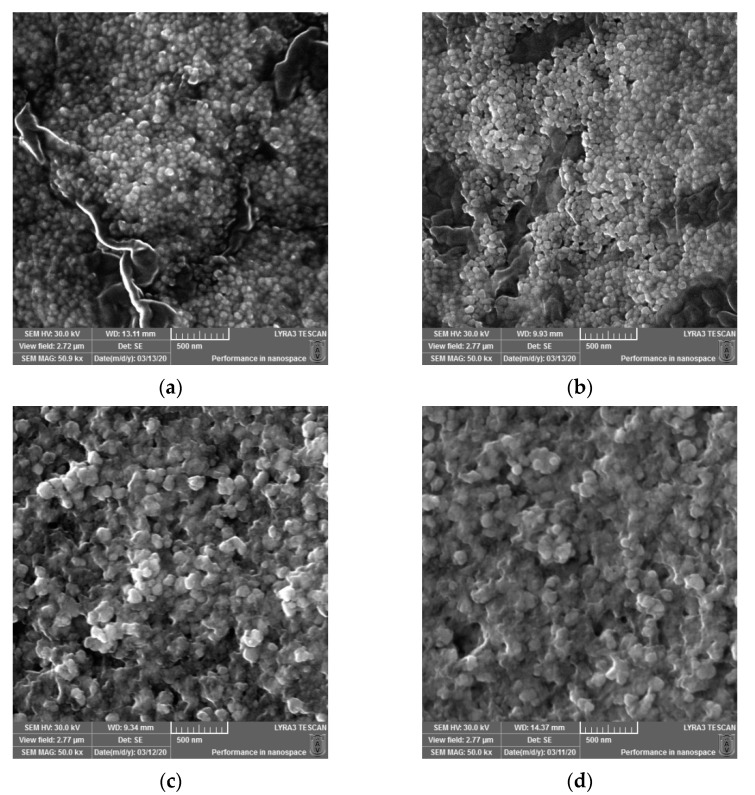 SEM micrographs recorded for the biosynthesized silver nanoparticles (AgNPs) obtained using Cannabis sativa leaves extracts: PDi (a), PDe (b), PSm (c), and PSf (d).