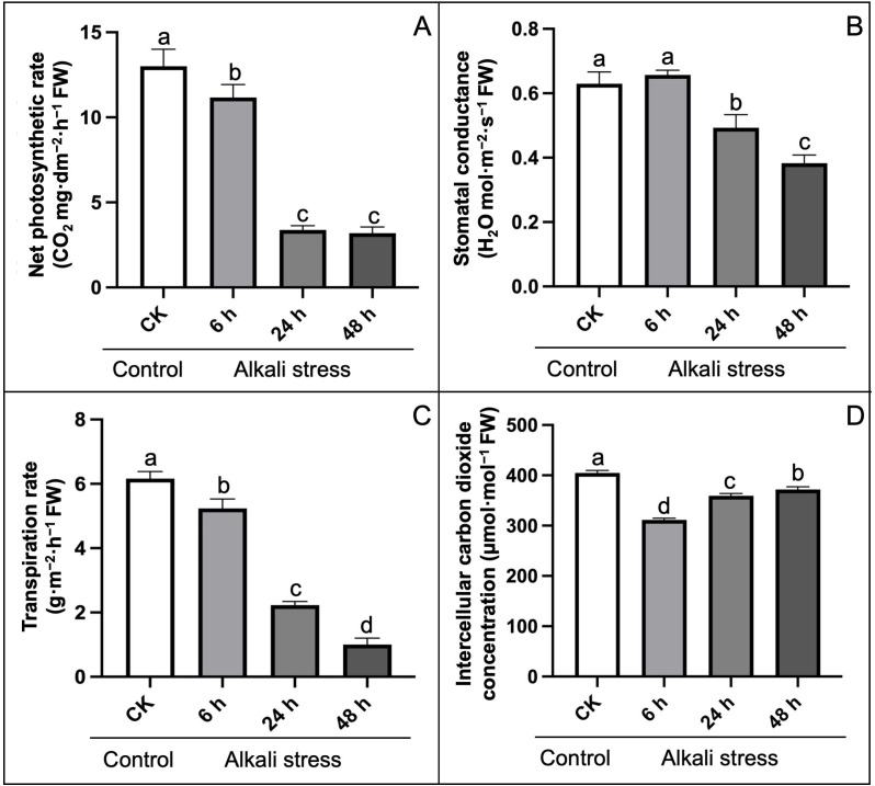 Effect of alkali-stress to chlorophyll fluorescence parameters compared to control treatment.(A) Net photosynthetic rate, (B) Stomatal conductance, (C) Transpiration rate, (D) Intercellular CO2 concentration. The statistical error bars indicate mean+SDs and dissimilar letters are denoting the significant change from each other (p < 0.05).