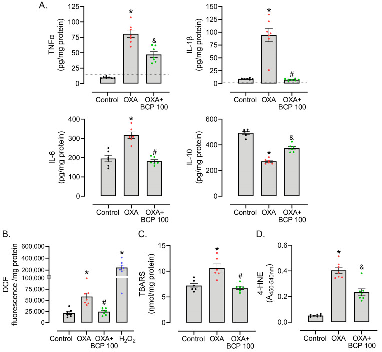 BCP suppresses OXA-induced inflammatory cytokine production and spinal cord oxidative damage. (A) ELISA assay quantification of TNF, IL-1β, IL-10, and IL-6 levels, (B) ex vivo DCF assay, (C) TBARS, and (D) 4-HNE content in the spinal cords of tumor-bearing animals treated with OXA with/without BCP (100 mg/kg, gavage, daily) (n = 6–7/group). OXA treatment started on day 0, BCP (100 mg/kg, gavage, daily) started on day 6, and spinal cord tissues were isolated on protocol day 15 for cytokine and oxidative stress evaluation. In (A), the dashed line denotes the assay sensitivity cut-off. * Different from vehicle/control group, # different from OXA group, and & different from both OXA and control groups, considering the same experimental time point (ANOVA; p < 0.05).