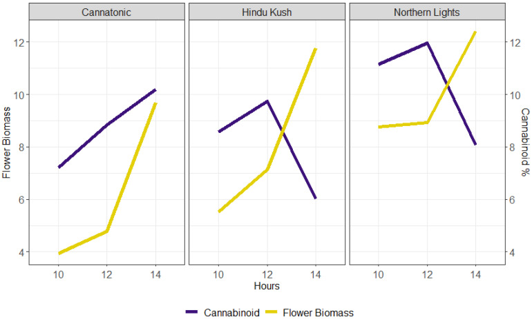 Relationship between flower biomass yield (g DW plant−1) (purple line) and the % target cannabinoid (Cannatonic = CBD and Northern Lights and Hindu Kush = THC) (yellow line) in the three static photoperiods.