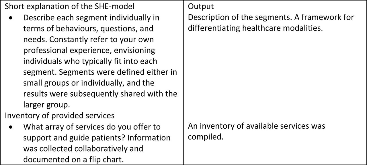 Structure of interview and output for healthcare professionals