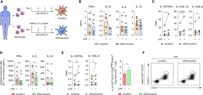 WIN-hmoDCs display anti-inflammatory and tolerogenic properties upon LPS stimulation. (A) Differentiation protocol of hmoDCs and WIN-hmoDCs from monocytes. (B, C) cytokine production (B) and ratios (C) of conventional hmoDCs and WIN-hmoDCs after LPS stimulation (100 ng/mL) (n=5-8). (D, E) cytokines (D) and ratios (E) produced by allogeneic naive CD4+ T cells primed by LPS-stimulated hmoDCs or WIN-hmoDCs after 5 days of coculture (n=8). (F) Percentage (left), and representative dot plots (right) of induced CD4+CD25highCD127-FOXP3high Tregs by allogeneic LPS-stimulated hmoDCs or WIN-hmoDCs (n=7). Values are shown as mean ± SEM. Statistical significance was determined by Paired t test (B, D, F) or Wilcoxon test (C, E). *P<0.05, **P<0.01.