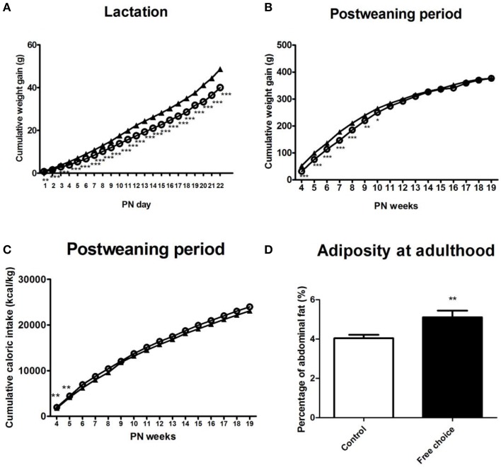 Effects of maternal diet on male offspring development during lactation and post-weaning period. Values are expressed as mean ± SEM. *p < 0.05, **p < 0.01, ***p < 0.001. Cumulative weight gain (g) of control offspring (solid triangles) and offspring from free-choice dams (open circles) during lactation and post-weaning period (A,B). Cumulative caloric intake (kcal/kg) of control offspring (solid triangles) and offspring from free-choice dams (open circles) during post-weaning period (C). Offspring adiposity at the 5th PN month (D): control offspring (open bars) vs. offspring from free-choice dams (solid bars).