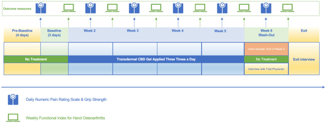 Study flowchart illustrating pre-baseline practise, baseline, treatment and washout phases of the trial.