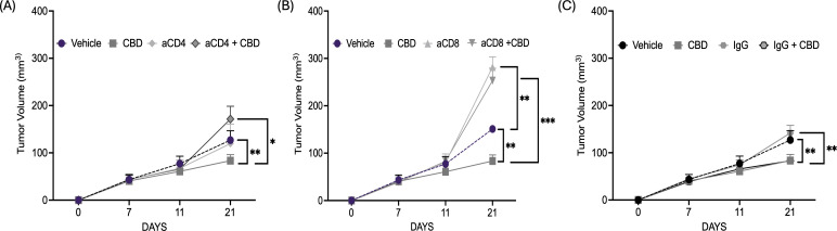 CBD treatment facilitates CD4+T and CD8+ T cells mediated anti-tumor immune response in syngeneic mouse models of HNSCC. (A) Tumor volume of mice injected with 1x106 mEER cells/mouse in the flank region of C57BL/6J mice model (wild-type). The mice were treated with vehicle control, 10 µM of CBD, anti-CD4 and its combination intraperitoneally for everyday and continued till Day 21. (B). Tumor volume of mice injected with 1x106 mEER cells/mouse in the flank region of C57BL/6J mice model (wild-type) and treated with vehicle control, 10 µM of CBD, anti-CD8 and its combination. (C) Tumor volume of mice treated with IgG antibody in the presence and absence of 10 µM of CBD. Statistical analysis was performed by unpaired Student’s t-test [*p<0.05 **p<0.01, ***p<0.001].
