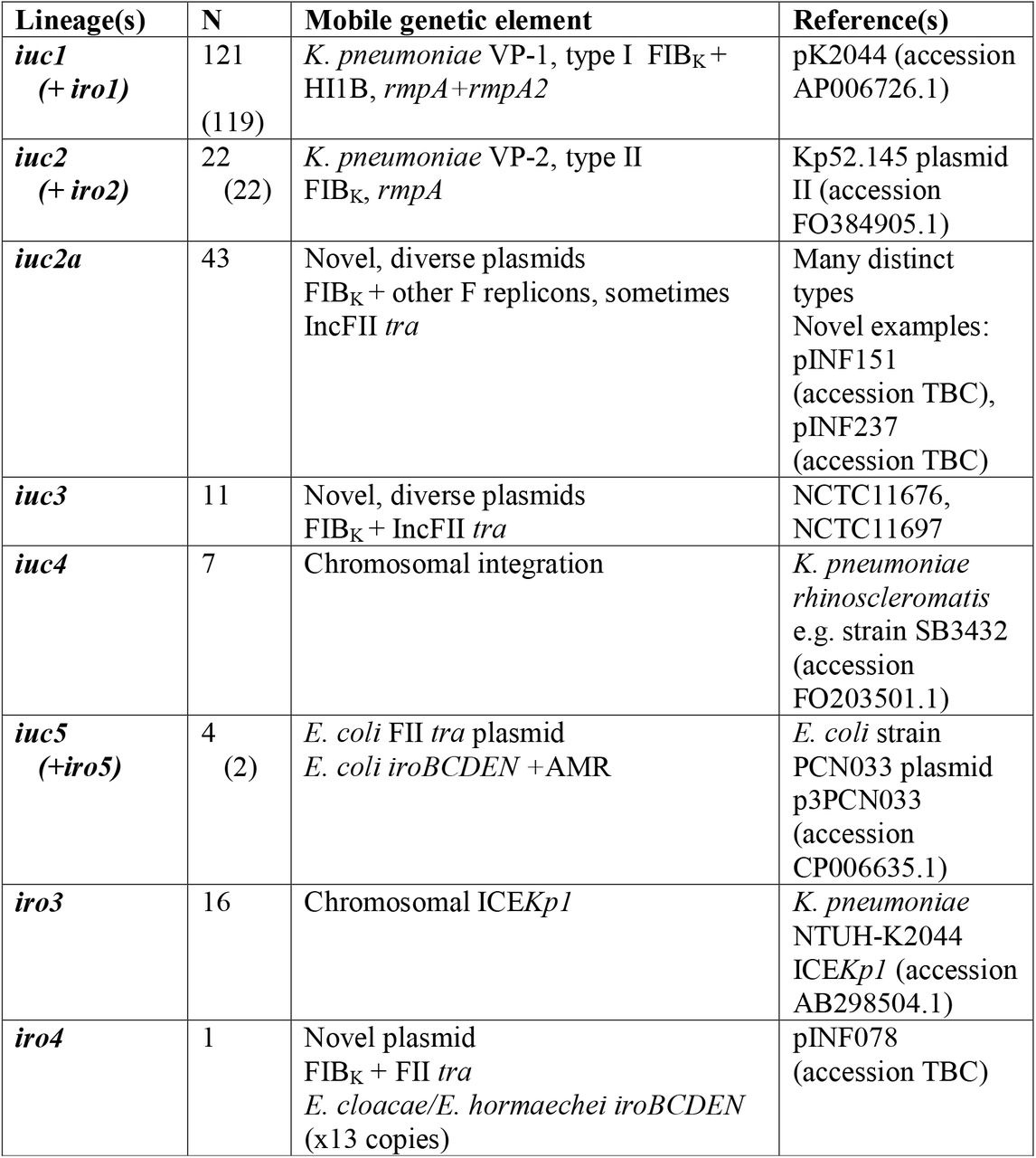 Summary of iuc and/or iro plasmid lineages