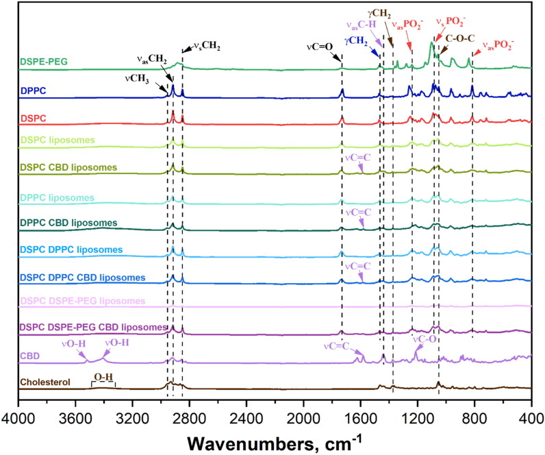FTIR spectra of used substances and prepared liposomes in the full spectral range.