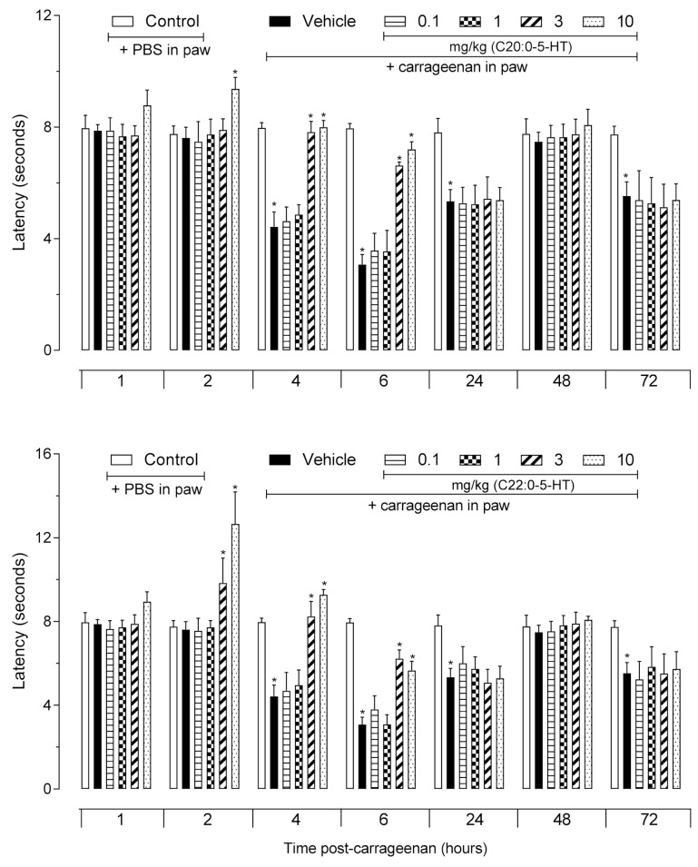 Antihyperalgesic effect of βN-arachinoyl-5-hydroxytryptamide (C20:0-5HT) and βN-behenoyl-5-hydroxytryptamide (C22:0-5HT). C20:0-5HT or C22:0-5HT were administered 60 min before the intraplantar injection of carrageenan (25 µL, 2%). Nociception was evaluated at each time point indicated using the hot plate system. The results are presented as mean ± SD (n = 8). One-way ANOVA followed by Tukey’s post hoc test was used to calculate the statistical significance. * p < 0.0001 comparing the C20:0-5HT- or C22:0-5HT-treated groups in mice receiving carrageenan in the paw with the vehicle-treated groups that received carrageenan in the paw.