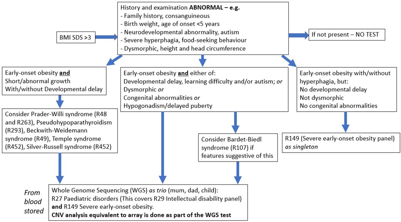 Clinical pathway