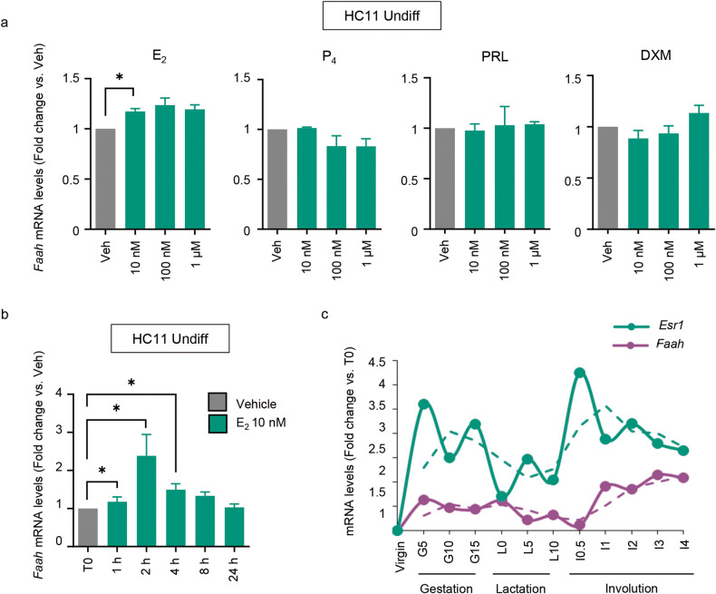 FAAH expression is regulated by estradiol in undifferentiated HC11 cells.qPCR analysis of Faah mRNA expression in undifferentiated HC11 cells after treatment with increasing concentrations of estradiol (E2), progesterone (P4), prolactin (PRL) and dexamethasone (DXM) for 4 h (a) or with 10 nM E2 for the indicated times (b). Expression levels were normalized against Tbp. Values represent mean ± SEM of n = 3 (a) and n = 4 (b) biologically independent samples. c Faah and Esr1 mRNA expression at different time points of adult mammary gland development, obtained from the microarray dataset published by [15].