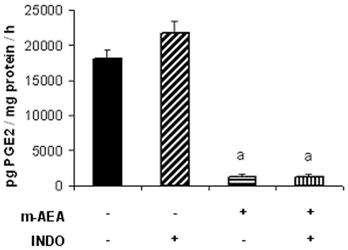 Effect of AEA on PGE synthase activity.Uterine explants were incubated with m-AEA (100 nM), INDO (1 µM) or m-AEA plus INDO for 24 h. Results were expressed as pg PGE2/mg protein/h. ANOVA Test. a, p<0.001 vs control or INDO. n = 4. PGE2 levels were assessed by RIA.