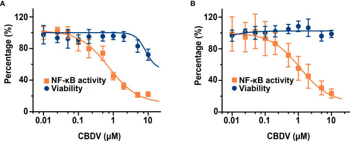 CBDV inhibits LPS-induced NF-κB activation in HEK Blue hTLR4 cells (A) and immunocompetent microglial BV-2 cells (B). (A) HEK Blue hTLR4 cells, which overexpress human CD14, TLR4, and MD-2, were stimulated with LPS and indicated concentrations of CBDV. The NF-κB activity was determined by SEAP assay and the cellular viability was measured by CCK-8 Kit. (B) BV-2 NF-κB luciferase reporter cells were treated with LPS and indicated concentrations of CBDV. The NF-κB activity was determined by the Steady-Glo luciferase assay and the cellular viability was measured by crystal violet staining. All experiments were performed three times independently, and data were given as the mean ± S.E.M.