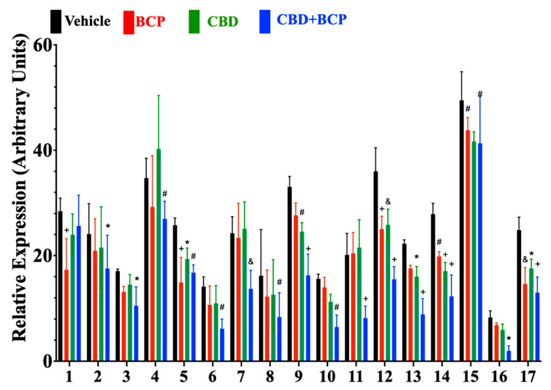 Effects of BCP, CBD, and combination on cytokine expression (n = 4). List of cytokines 1 (C1qR1), 2 (EGF), 3 (ICAM-1), 4 (IGFBP-1), 5 (IGFBP-3), 6 (IGFBP-5), 7 (IGFBP-6), 8 (IL-33), 9 (LIX), 10 (MMP-2), 11 (MMP-3), 12 (pentraxin 2), 13 (PCSK 9), 14 (REg3G), 15 (E-selectin), 16 (VCAM-1), and 17 (VEGF). Bars correspond to the group means ± SEM. * p < 0.05; # p < 0.01; & p < 0.001; + p < 0.0001.