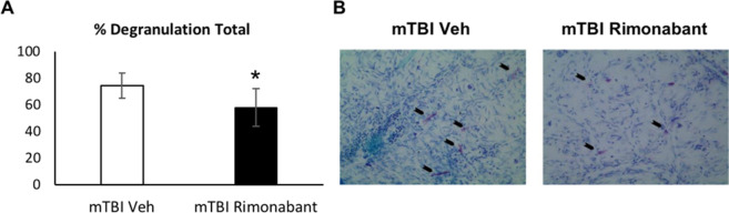 Effect of rimonabant on dural mast cell degranulation following mTBI. (A) Rimonabant treatment in mTBI animals resulted in a significant reduction in the dural MC degranulation level (n = 4, *p < 0.05 Rimonabant vs Veh, non-parametric Mann-Whitney). (B) Representative images of toluidine blue-stained dural whole-mounts showing degranulated MCs in rimonabant and vehicle-treated mTBI. Black arrows indicate degranulated mast cells.