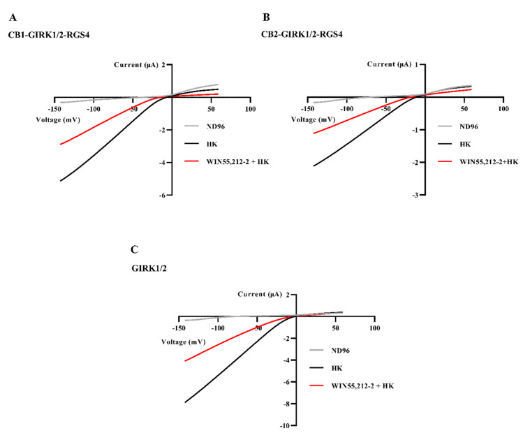 Reduction of inward K+ currents in the CB-GIRK1/2-RGS4 coupling and GIRK1/2 in Xenopus oocytes. (A) Oocytes co-injected with CB1, GIRK1/2, and RGS4 cRNAs, (B) oocytes co-injected with CB2, GIRK1/2, and RGS4 cRNAs, and (C) oocytes injected with GIRK1/2 cRNAs were subjected to a 1-s voltage ramp protocol from −150 to +60 mV from a holding potential of −20 mV. Inward IK,basal was strongly reduced by exchanging HK to HK plus ≈ 100 μM WIN55,212-2. Typical IK,basal and IK,WIN were recorded from three to six different oocytes.
