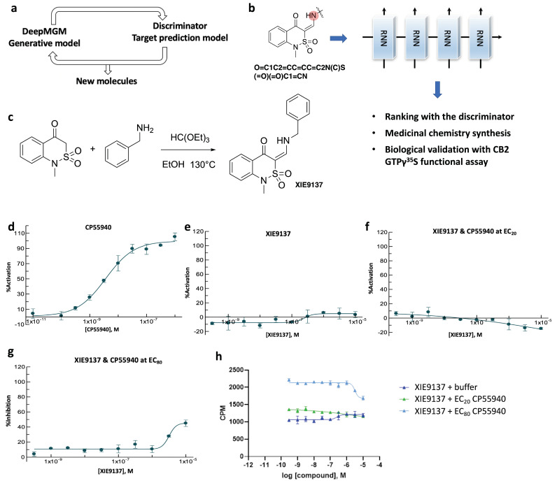 Identification of XIE9137 as a potential negative allosteric modulator for CB2. (a) Scheme of the in silico design-test circle. (b) Using chemistry synthesis and biological validation to evaluate generated molecules by the t-DeepMGM. (c) Synthetic route to obtain the target compound. (d,e) CB2 [35S]-GTPγS functional assay for CP55940 (d) and XIE9137 (e) alone. (f,g) CB2 [35S]-GTPγS functional assay for XIE9137 with the coexistence of CP55940 at EC20 concentration (f) and EC80 concentration (g). (h) Counts per minute in the CB2 [35S]-GTPγS functional assay for XIE9137 at different log concentrations.