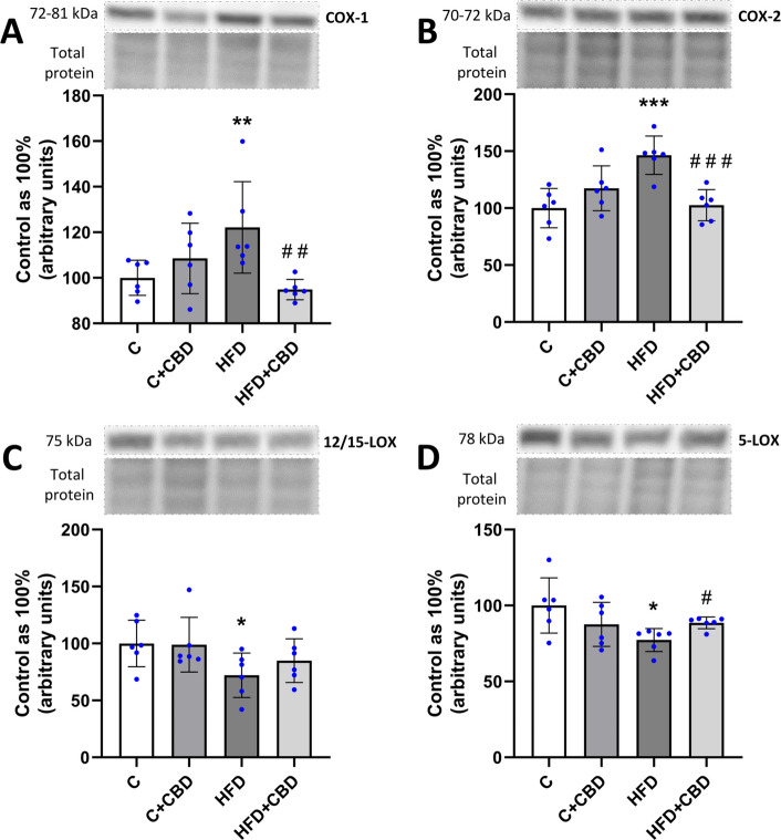 The expression of enzymes from the eicosanoid and prostanoid pathways. The expression of (A) COX-1—cyclooxygenase 1; (B) COX-2 – cyclooxygenase 2; (C) 5-LOX – 5-lipoxygenase; (D) 12/15-LOX –12/15-lipoxygenase in the liver tissue after intraperitoneal injections of CBD during the last 2 weeks of the experiment to rats fed a standard diet (C) or high-fat diet (HFD) for 7 weeks. The Western blotting technique was used to measure the enzymes’ expression. The overall expression of the enzymes is displayed as a percentage difference, with 100% being the control group. The data is presented as mean values ± standard deviation (SD) based on six independent determinations in each experimental group. *–p < 0.05; **–p < 0.01; ***–p < 0.001; ****–p < 0.0001 significant change vs control group; #–p < 0.05; ##–p < 0.01; ###–p < 0.001; ####–p < 0.0001 significant change vs HFD group
