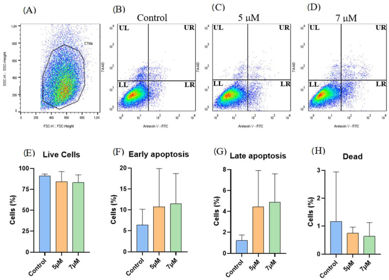 Apoptosis assay (Annexin V × 7-AAD): (A–D) Representative gating strategy for the analysis of cell viability using Annexin-V FITC and 7-AAD. (A) Selection of the cellular population. (B) Control group. (C) Equine adipose tissue-derived mesenchymal stem cells (EqAT-MSCs) primed with cannabidiol (CBD)-rich cannabis extract at concentrations of 5 μM (D) and 7 μM. Quadrants are labeled as follows: UL (Upper Left) represents dead cells, LL (Lower Left) represents live cells, UR (Upper Right) represents late apoptotic cells, and LR (Lower Right) represents early apoptotic cells. No significant changes were observed when comparing (E) the live cells, (F) early apoptotic cells, (G) late apoptotic cells, and (H) dead cells of the control group with EqAT-MSCs primed with CBD-rich cannabis extract at concentrations of 5 μM and 7 μM. Data are represented as the mean ± standard deviation, one-way analysis of variance (ANOVA).