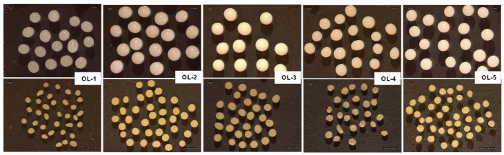 Stereomicroscope images of wet (first line) and dried (second line) placebo microparticles.