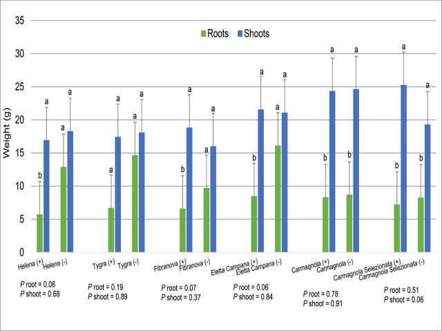 Hemp plant dry weights (g) for inoculated (+) and uninoculated (−) plants with a mixed population of root-knot species and six European hemp cultivars. Factor levels not connected by the same letter are significantly different according to Tukey’s HSD with P ≤ 0.05 (Trial 1).