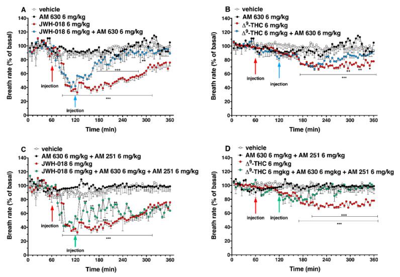 Interaction of JWH-018 (6 mg/kg i.p, panel (A)) and ∆9-THC (6 mg/kg i.p, panel (B)) with the selective CB2 receptor antagonist AM 630 (6 mg/kg, i.p.) on breath rate. Interaction of JWH-018 (6 mg/kg i.p, panel (C)) and ∆9-THC (6 mg/kg i.p, panel (D)) with the administration of the mixture of selective CB1 (AM 251; 6 mg/kg, i.p.) and CB2 (AM 630; 6 mg/kg, i.p.) receptor antagonists on breath rate. Data are expressed as percentage of basal values in the form MEAN ± SEM of 8 different evaluations for each group. Statistical analysis was performed by two-way ANOVA, followed by Bonferroni’s test for multiple comparisons *** p < 0.001 versus vehicle, and + p < 0.05, ++ p < 0.01, +++ p < 0.001 versus AM 630 + agonists or AM 630 and AM 251 + agonists.