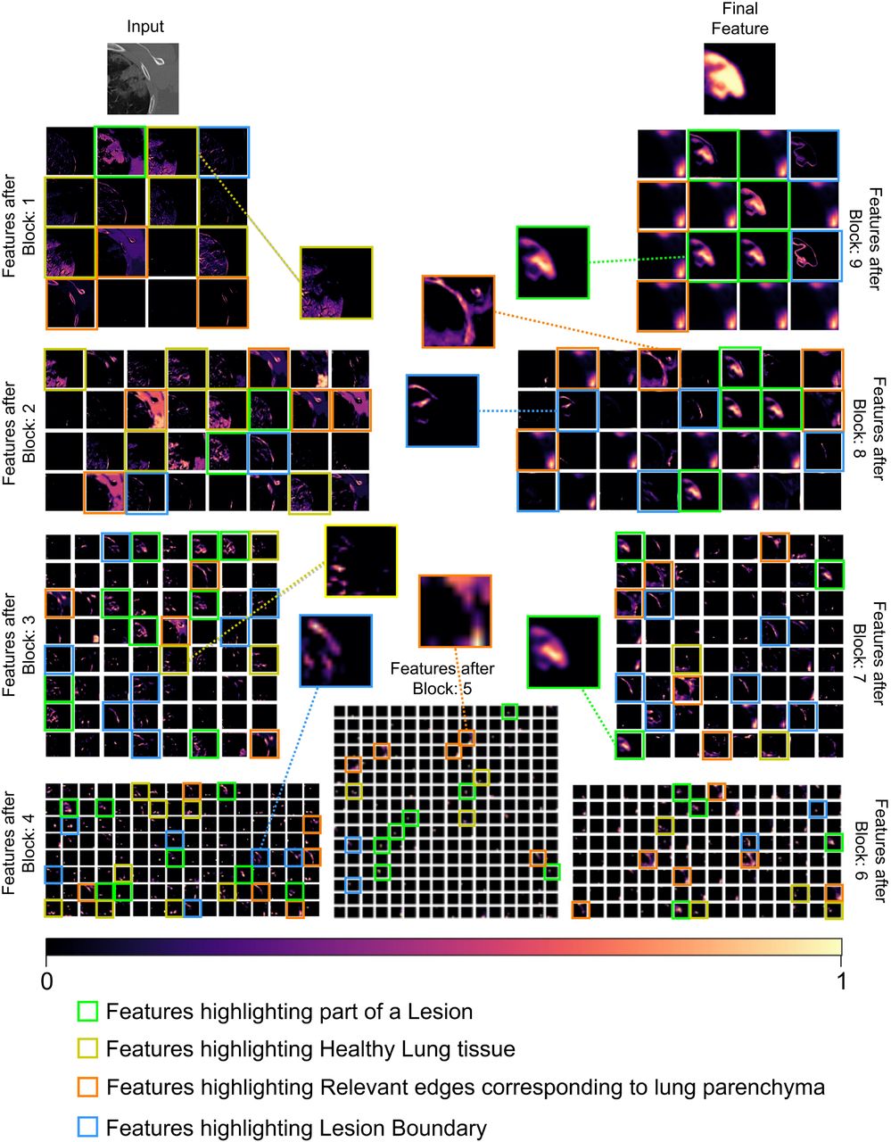 Visualization of features extracted after each Block of the AMC-Net from Fig 2