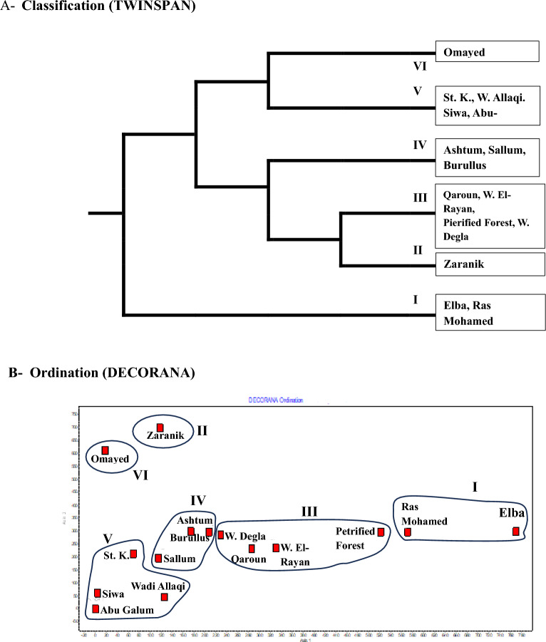 Classification (A) and ordination (B) of the 15 Egyptian protected area based on their content of alien species in the Egyptian flora. Group I: Cenchrus ciliaris, Group II: Solanum elaeagnifolium, Group III: Bassia indica, Group IV: Beta vulgaris subsp. maritima, Group V: Ziziphus spina-christi and Group VI: Dactylis glomerata.