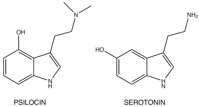 Psilocin and serotonin structure.