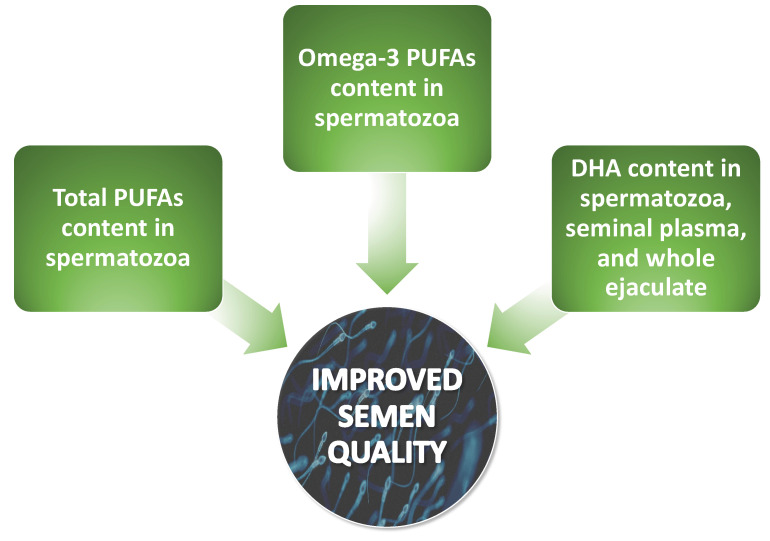Scheme illustrating the positive influence of main lipid parameters on semen quality. PUFAs present in the ejaculate and/or sperm membrane, especially omega-3, positively modulate sperm concentration, motility, and morphology. DHA—docosahexaenoic acid, PUFAs—polyunsaturated fatty acids.
