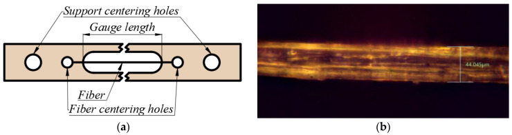 (a) Paper support and (b) fiber cross-section measurement.