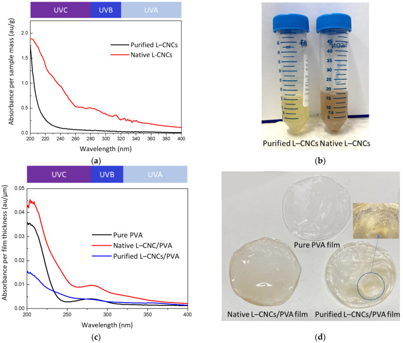UV absorption (a) and a digital image of (b) purified L–CNCs and native L–CNCs solution, (c) the UV absorption (normalised by the film thickness) and a digital image of (d) of purified L–CNCs film and native L–CNCs film. The black background was used to enhance the contrast, while showing the enlarged part of the purified L–CNCs/PVA.