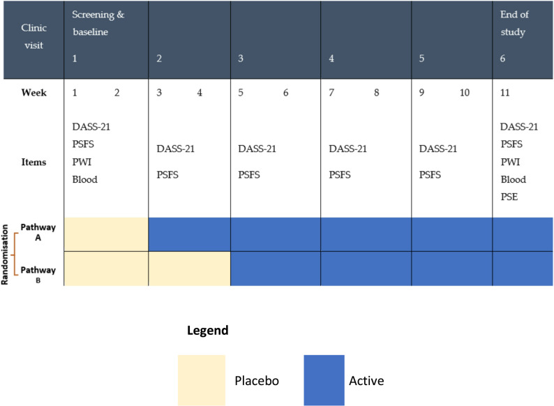 Multiple baseline design showing two pathways. Note: pathway a had a baseline phase of 2 weeks; pathway B had a baseline phase of 4 weeks. Abbreviations: DASS-21 - Depression Anxiety Stress Scale, PSFS – Patient Specific Functional Scale, PWI – Personal Wellbeing Index, Blood - blood test including full blood count, vitamin D, iron, C-Reactive Protein, erythrocyte sedimentation rate and fibrinogen, PSE – participant study experience