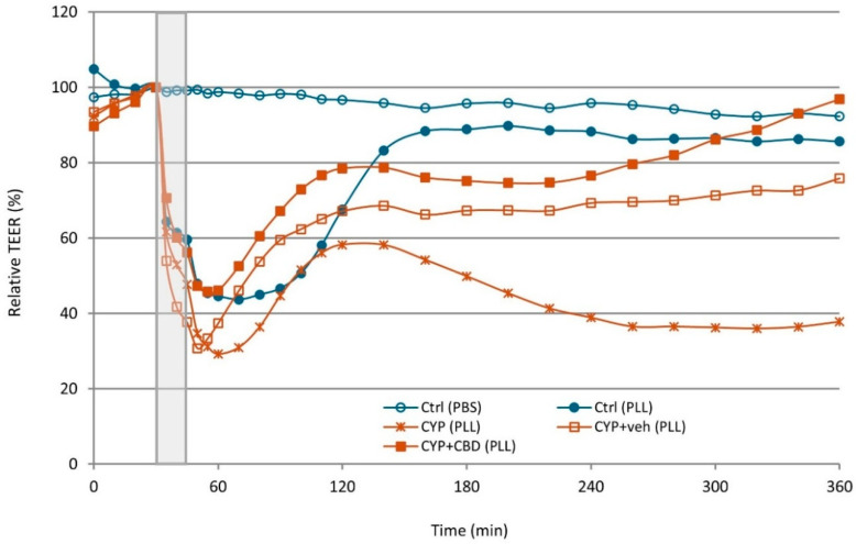 Changes in relative transepithelial electrical resistance (TEER) of the urothelium during the 6 h experimental period. Ctrl, control group of mice; CYP, cyclophosphamide-treated group of mice; CYP + veh, cyclophosphamide and vehicle-treated group of mice; CYP + CBD, cyclophosphamide and CBD-treated group of mice. The grey shaded area indicates the 15 min treatment phase, during which the apical surface of the urothelium was exposed to either phosphate-buffered saline (PBS) or poly-L-lysine (PLL). One group of Ctrl bladders (PBS) served as a positive control without PLL treatment, demonstrating the viability of the bladder urothelium throughout the ex vivo experiment. Data are presented as mean relative TEER values for each group (n = 4 per group).