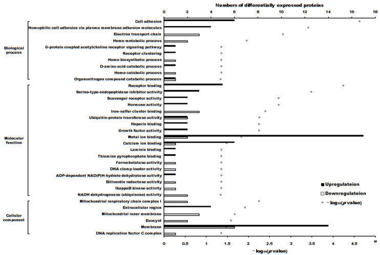 The differentially expressed proteins enriched in Gene Ontology terms (p < 0.05).