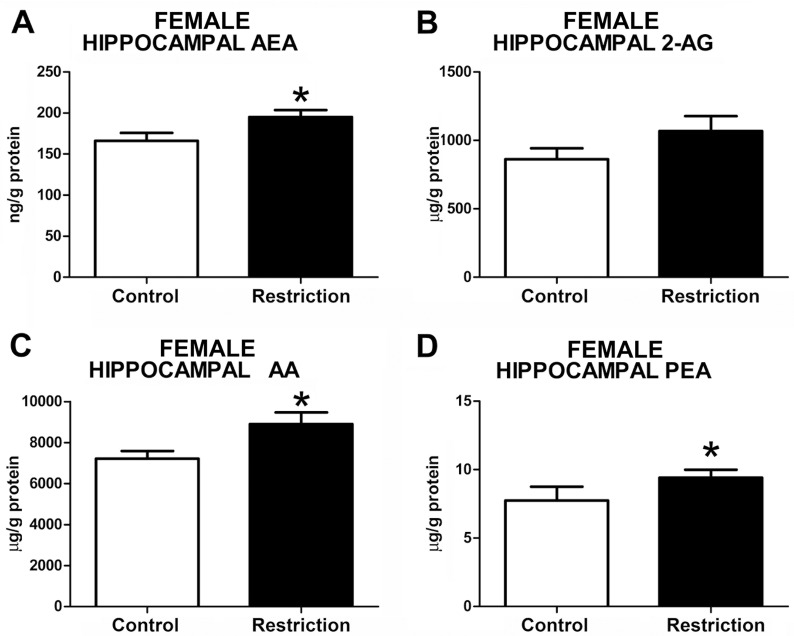 Endocannabinoid and endocannabinoid-related lipid levels in the hippocampus of female offspring at birth.Anandamide (AEA), 2-arachidonoylglycerol (2-AG), arachidonic acid (AA), and palmitoylethanolamide (PEA) levels in the hippocampus of female offspring (A-D) from control dams (n = 9) and calorie-restricted dams (n = 10) at birth (open bars and solid bars, respectively). Values are expressed as mean +/- SEM. Data were analyzed by Student´s t-test (A, B,C) or Mann Whitney´s U test (D): *p<0.05.
