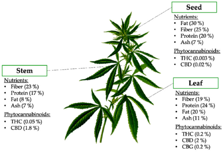 Nutritional composition and phytocannabinoids present in different parts of the hemp plant [26]. Abbreviations: CBD, cannabidiol; CBG, cannabigerol; THC, delta-9-tetrahydrocannabinol.