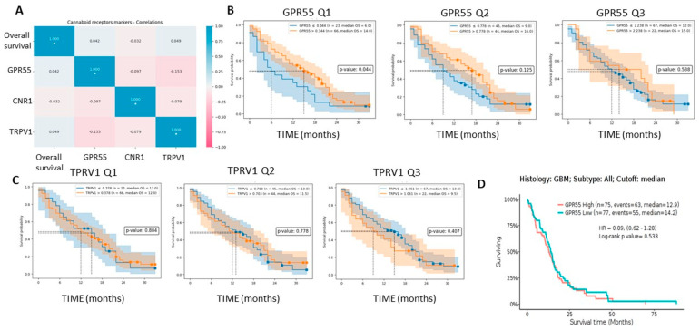 Correlation matrix and overall survival curves for cannabinoid receptor expressions in GBMs. (A) Correlation matrix data show positive significance between GBM patient (n = 89) survival and GPR55 (p = 0.042) and TRPV1 (p = 0.049) receptor gene expressions. (B,C) Kaplan–Meier survival curves of GBM patients (n = 89) stratified by three cut-off levels of GPR55 (B) and TRPV1 (C) mRNA expression. (D) Kaplan–Meier survival curves of GBM patients, as analysed from the TCGA data bank GLIOVIS with GBM patients (n = 152) with GPR55 mRNA expression level data. Survival at median value was not significant. GBM: glioblastoma. * p < 0.05.
