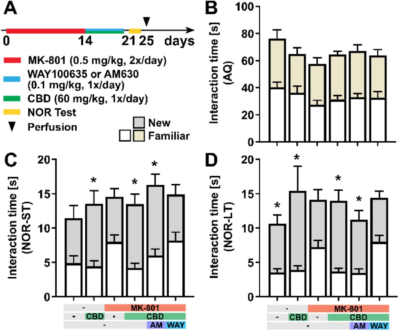 CBD treatment reduces MK-801-induced working memory impairment through 5-HT1A receptors(A) Experimental protocol for pharmacological treatment with the NMDA receptor antagonist MK-801, WAY100635, or AM630 and CBD followed by novel-object-recognition test. (B-D) Absolute exploration time with the new and familiar objects during the acquisition phase (AQ, B), the short-term memory retention phase (NOR-ST, C), and the long-term memory retention phase (NOR-LT, D). Data are represented as mean ± SEM and derived from N=8-9 mice. Details on statistical analysis can be found in Supplementary Table 1. For the group, the interaction time with the two objects was compared (*, p < 0.05).