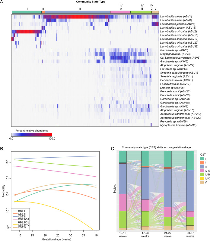 Variation in the community state type (CST) of the vaginal microbiota throughout gestation among women who ultimately delivered at term. (A) Heatmap illustrating the relative abundances of the 30 most abundant amplicon sequence variants (ASVs) among the vaginal 16S rRNA gene profiles. The bar on top indicates vaginal CSTs assigned using the program VALENCIA (11). (B) Dynamics of vaginal CST prevalence as a function of gestational age among women ultimately delivering at term. The log-odds of membership for each CST were modeled using binomial linear-mixed effects models. Fixed effects in these models included gestational age (linear and quadratic terms, as needed) and maternal characteristics, while one random intercept was allowed for each subject. (C) Alluvial plot illustrating the temporal dynamics of vaginal CST prevalence and transitions among 309 women who delivered at term and contributed one sample per each of the four discrete time periods (10 to 37 weeks).