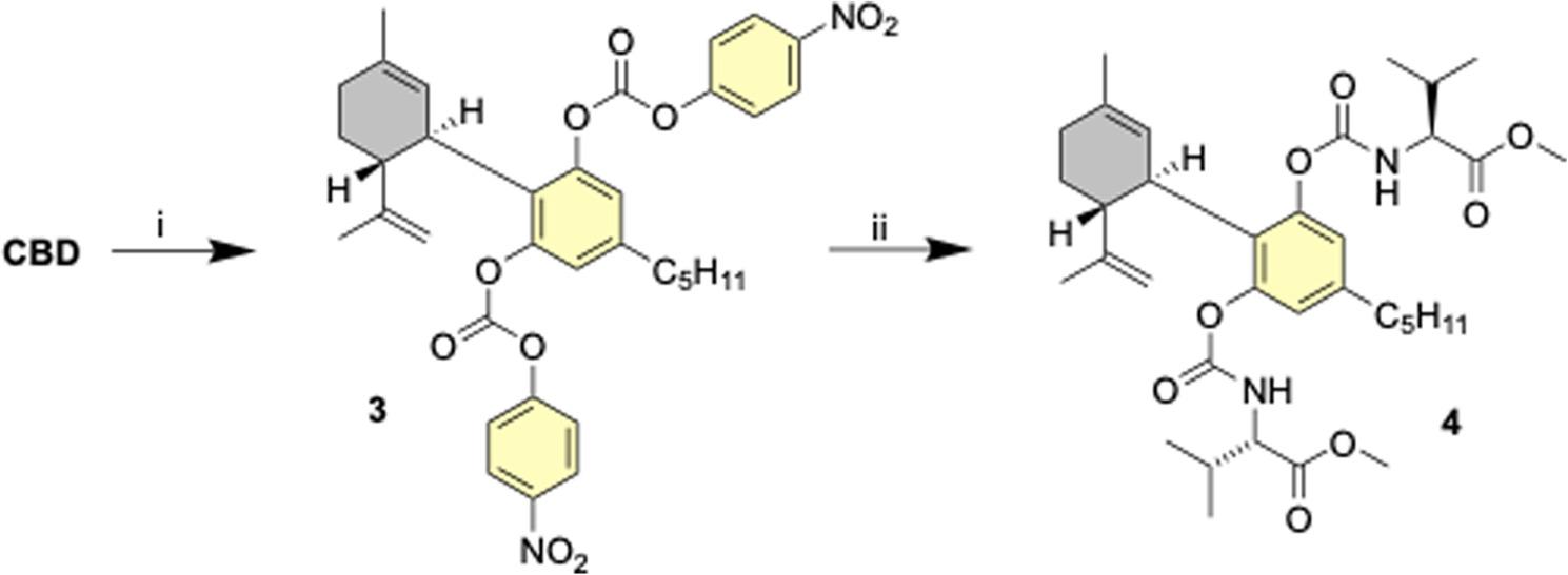 Synthesis of compound 4. (i) 4-Nitrophenyl chloroformate (4 eq.), Et3N, CH2Cl2, 1 h, rt; (ii) L-valine methyl ester (4 eq.), DMAP, CH2Cl2, 12 h, reflux