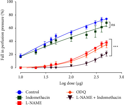 Effects of EFCS extract on rat MAB precontracted with PHE (10–20 μM) in the absence or in the presence of indomethacin (10 μM), L-NAME (100 μM), ODQ (1 μM) or L-NAME + indomethacin. Values are expressed as mean ± SEM (n = 10 for control curve without inhibitors and n = 6 for all others groups). ns: not significant (control vs indomethacin); ∗∗∗p < 0.001 (control vs L-NAME, ODQ, or L-NAME plus indomethacin).