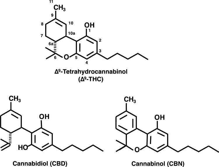 Chemical structures of major marijuana constituents